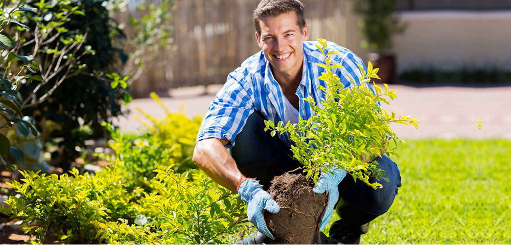 NUOVO CORSO GRATUITO PER BIO MANUTENTORE DEL VERDE (GIARDINIERE)